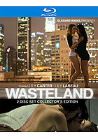 Wasteland  2 Disc Collectors Edition  Blu ray Disc DVD